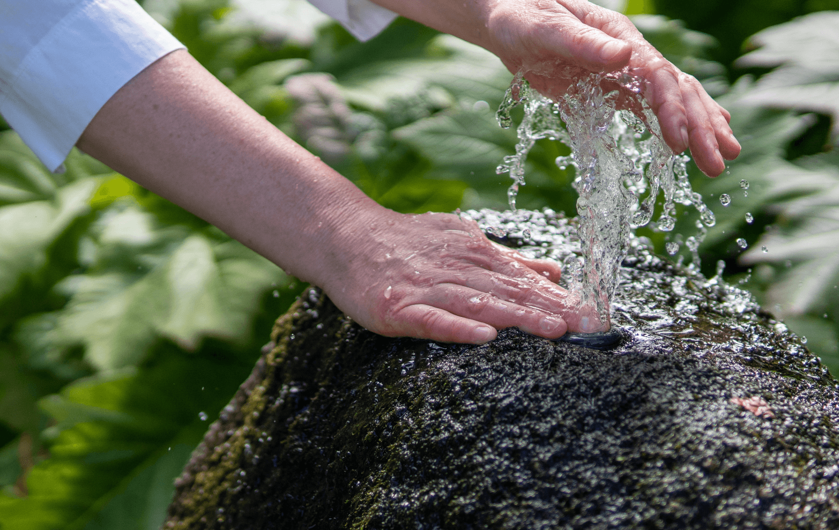 Bild der Hände von Eva im Wasser